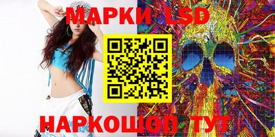 стафф Кингисепп
