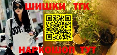 стафф Кингисепп