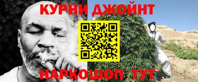 стафф Кингисепп