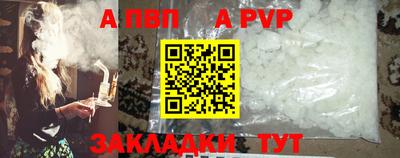 стафф Кингисепп