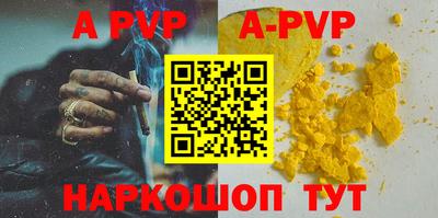 стафф Кингисепп
