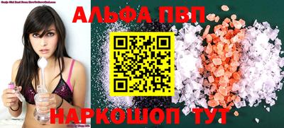 стафф Кингисепп