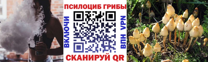 Галлюциногенные грибы мухоморы  Коломна 