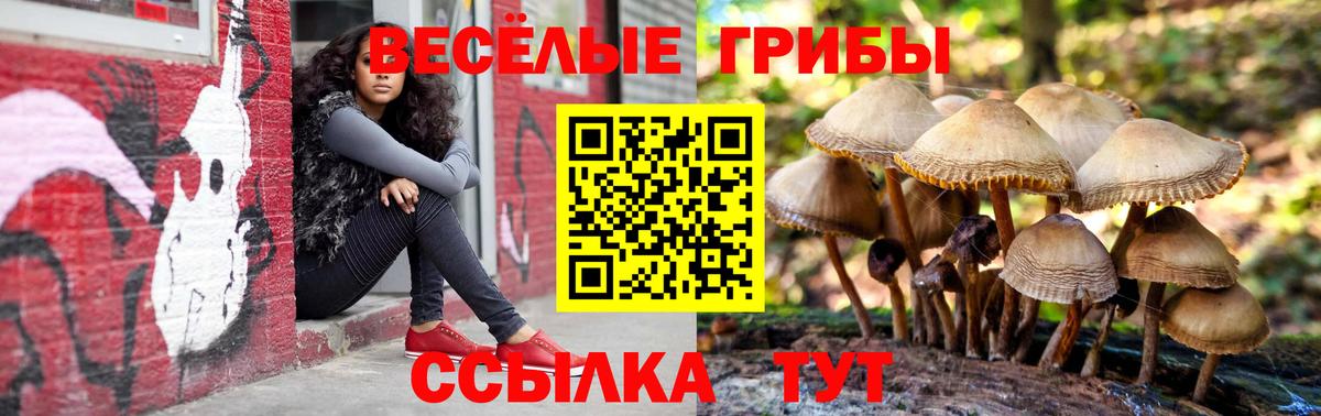 Псилоцибиновые грибы Cubensis Коломна