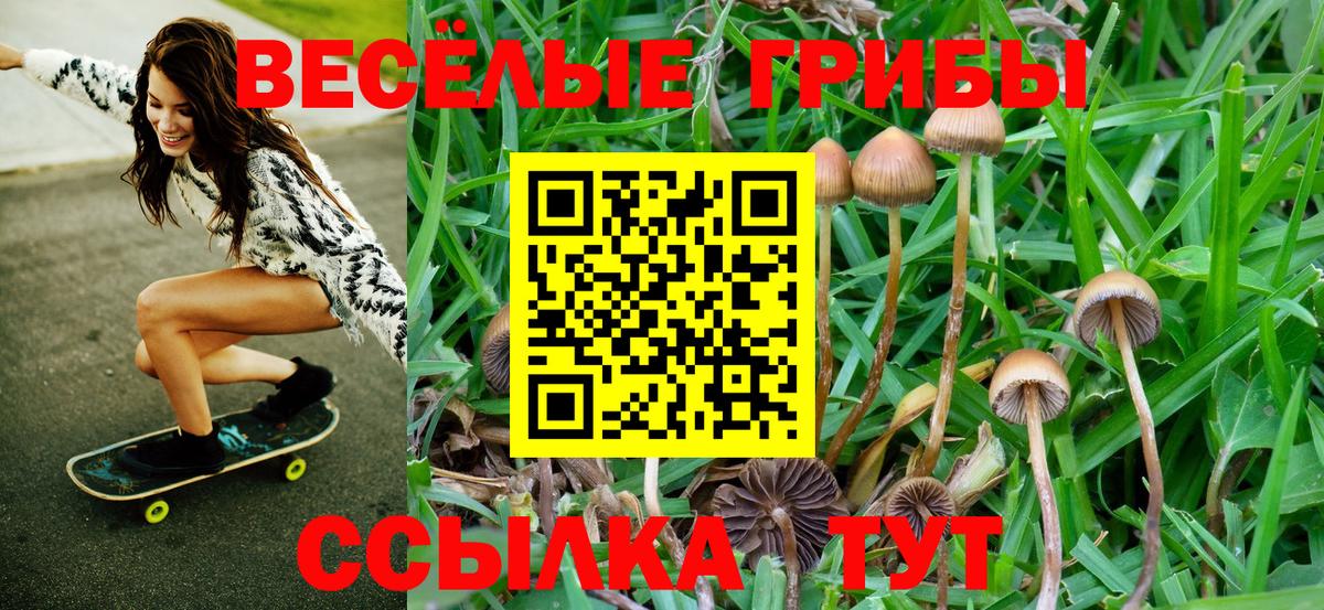 Псилоцибиновые грибы прущие грибы  Вход с VPN  Коломна 
